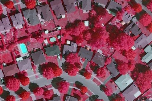 LIDAR image of a suburban neighborhood